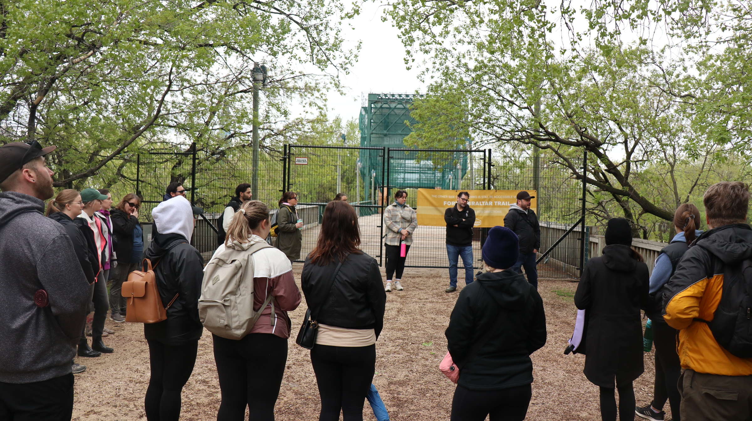 Professional Learning Journey