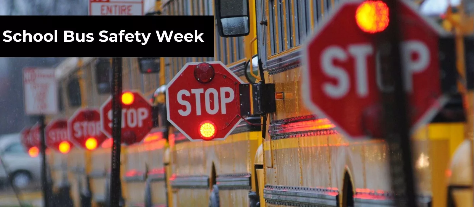 School Bus Safety Week 